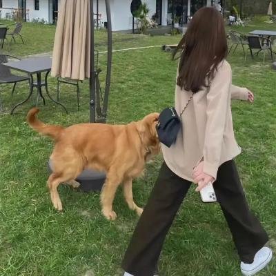爱你一百年